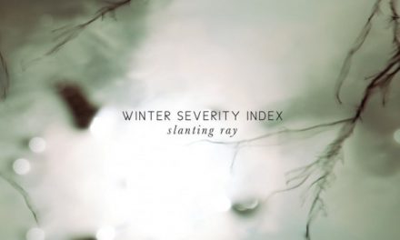 Il dark-wave dei Winter Severity Index