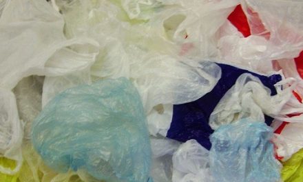 Buste di plastica illegali: la denuncia di Legambiente