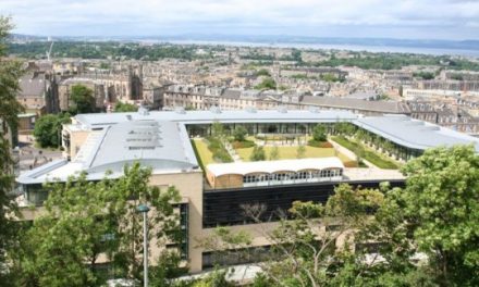 Roof garden, l’architettura sostenibile per le grandi città