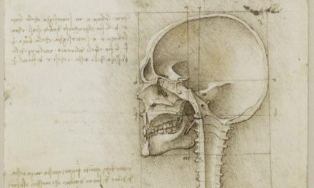 On-line i disegni anatomici di Leonardo