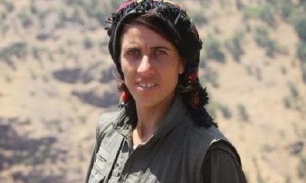 Nel nome di Avesta e delle combattenti curde: intervista a Marco Rovelli