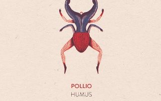 Pollio, “humus” cantautorale e molto altro