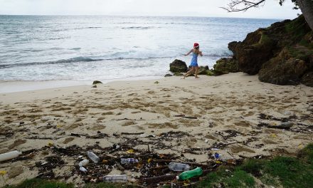 In Italia migliora la qualità del mare, ma in spiaggia ancora troppi rifiuti