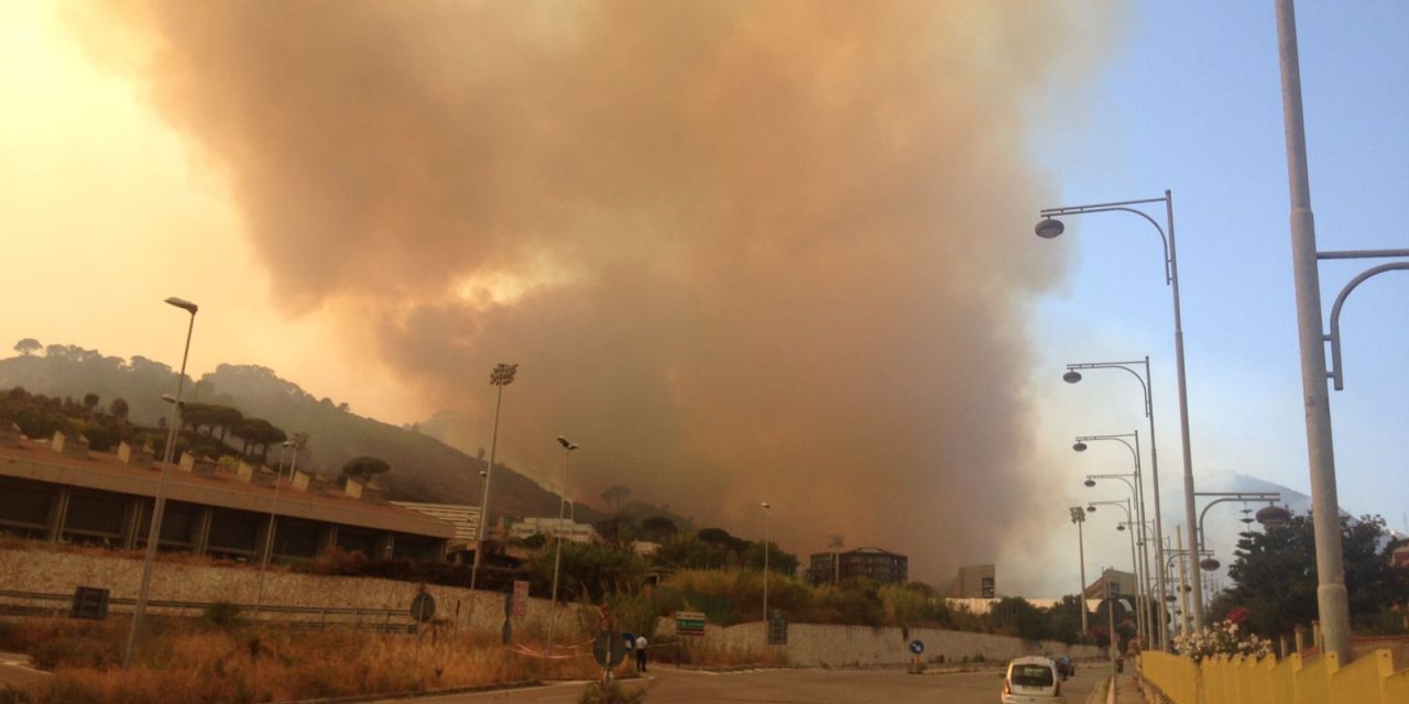 La Sicilia brucia: cosa si nasconde dietro gli incendi?