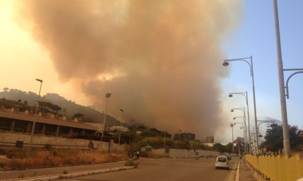 La Sicilia brucia: cosa si nasconde dietro gli incendi?