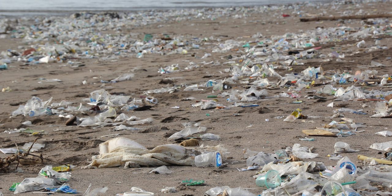 Rapporto di Greenpeace: la plastica monouso sta acutizzando la crisi climatica