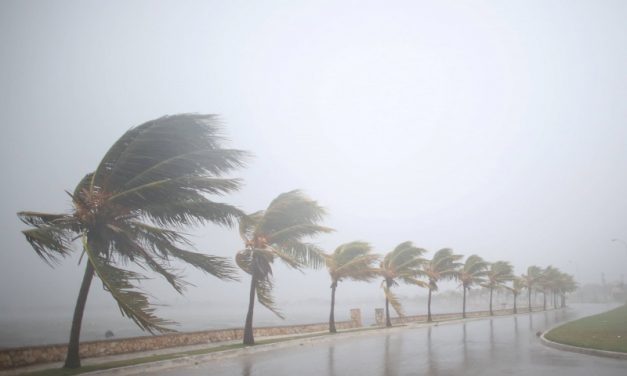 Disastri naturali: il possibile legame tra cambiamenti climatici e uragani