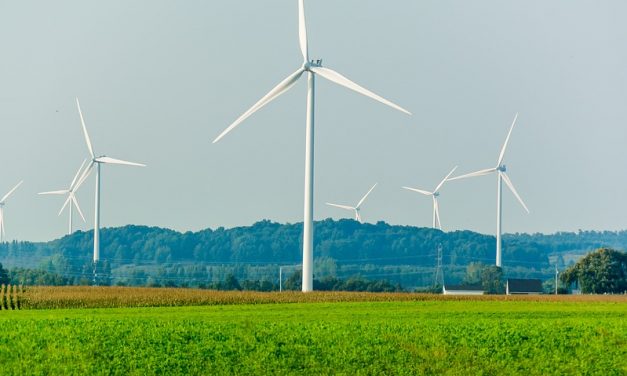 Energia rinnovabile: abbatte i costi e aumenta le opportunità
