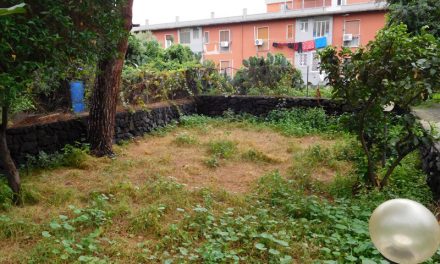 Una raccolta fondi per la casa della memoria “Il Giardino di Scidà”