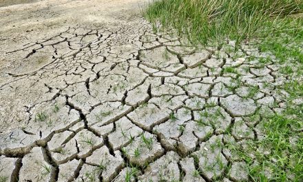Emergenza siccità in Italia: 2017 anno più secco degli ultimi due secoli