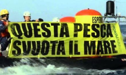 Greenpeace: gravi ritardi sulla tutela delle zone di riproduzione nello Stretto di Sicilia