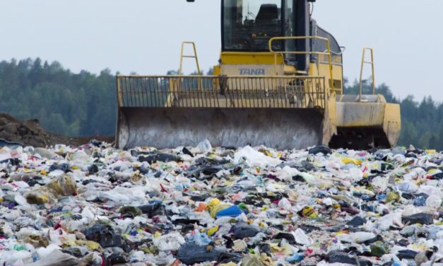 Un dossier di Greenpeace svela le rotte (spesso illegali) dei rifiuti