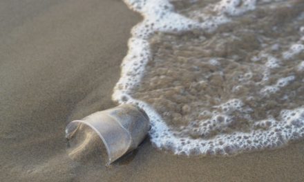 Benvenuti nell’età della plastica: la provocazione di un gruppo di ricercatori