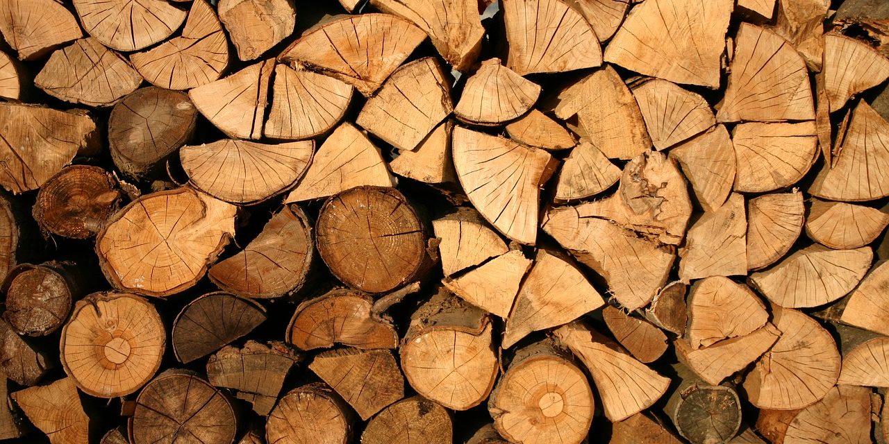 Riscaldamento in casa: il legno è meno inquinante e più economico
