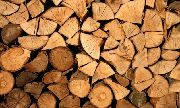 Riscaldamento in casa: il legno è meno inquinante e più economico