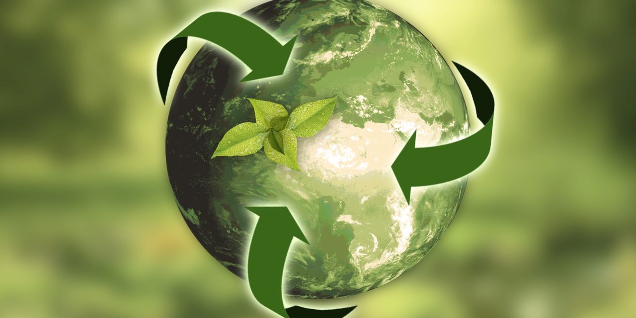 Green New Deal: economia europea sostenibile e a difesa dell’ambiente