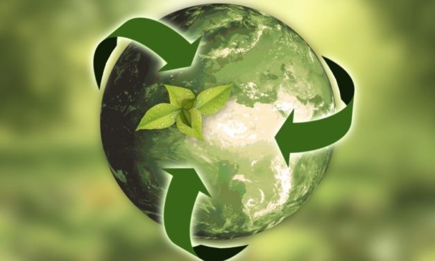 Green New Deal: economia europea sostenibile e a difesa dell’ambiente