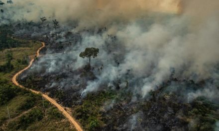 L’Amazzonia brucia ancora: una petizione di Greenpeace chiede all’UE di intervenire