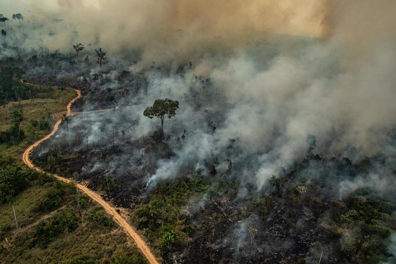 L’Amazzonia brucia ancora: una petizione di Greenpeace chiede all’UE di intervenire