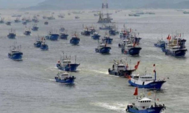 Ecuador: flotte di pescherecci cinesi stanno distruggendo il mare delle Galapagos