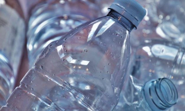 Plastic Free July: consigli per ridurre l’uso della plastica (e le sue conseguenze)