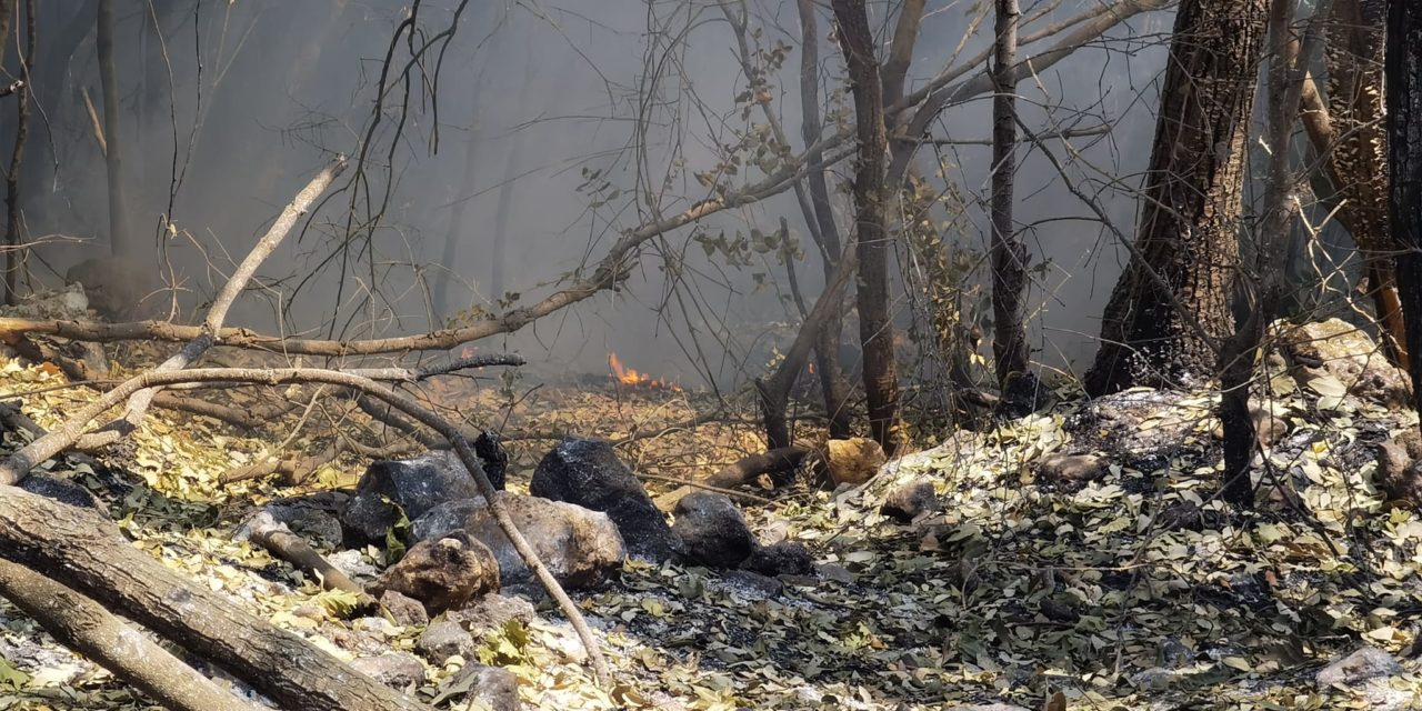 Roghi negli iblei: presentato in Procura un esposto-denuncia per disastro ambientale da incendio