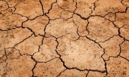Caldo record e siccità: il progetto di Coldiretti per il risparmio di acqua