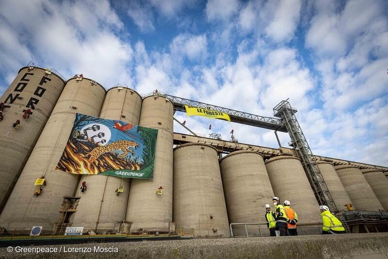 Importazioni di soia, allevamenti intensivi e foreste: Greenpeace chiede una normativa rigorosa