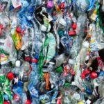 L’evoluzione dei batteri che si adeguano alla plastica e all’inquinamento