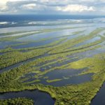 La morte progressiva dell’Amazzonia ci riguarda da vicino