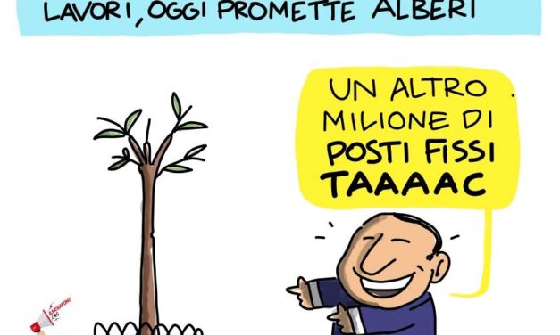 Gli alberi di Silvio…