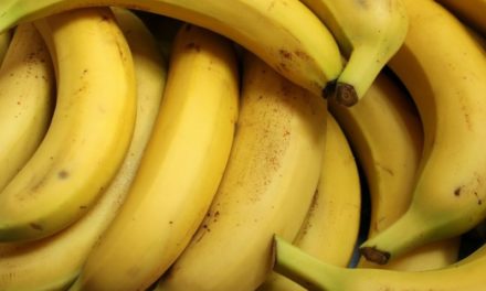 Il frutto del banano ancora a rischio di estinzione
