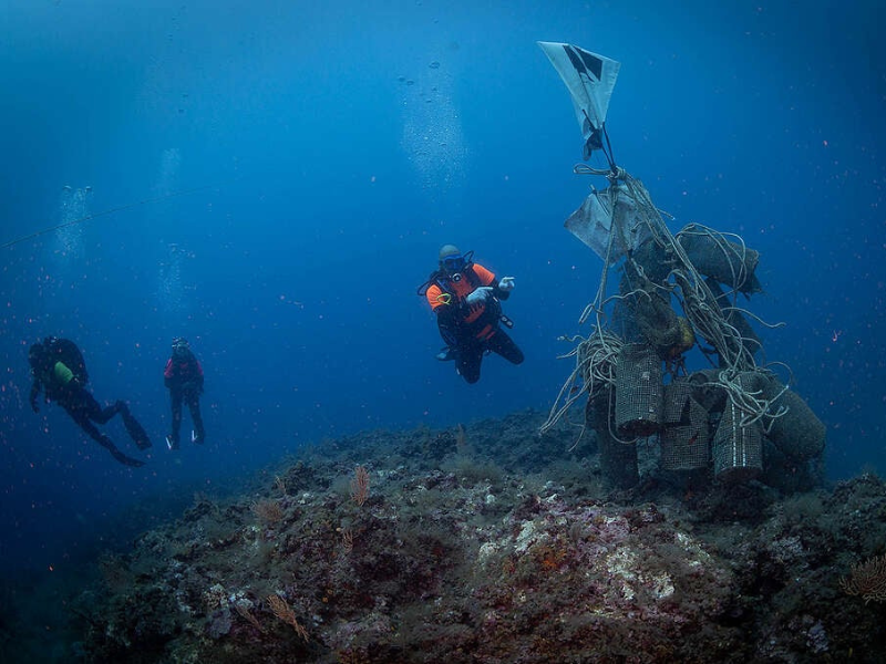 I rifiuti minacciano anche il Mediterraneo: Greenpeace chiede più aree marine protette