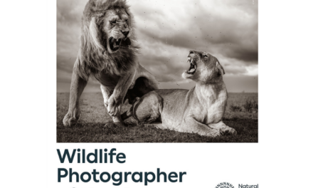 A Milano, tra una settimana, apre Wildlife Photographer of the Year 2024