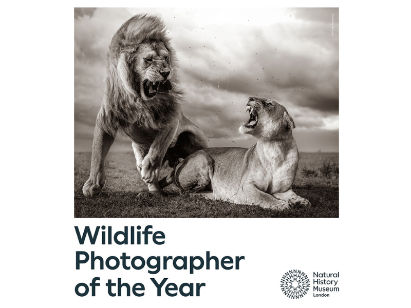 A Milano, tra una settimana, apre Wildlife Photographer of the Year 2024